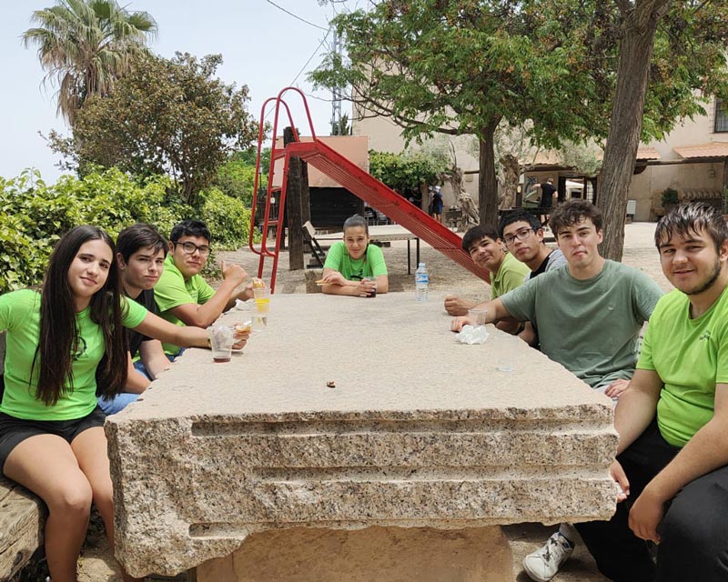 Campamento y stage de-Judo Castalla
