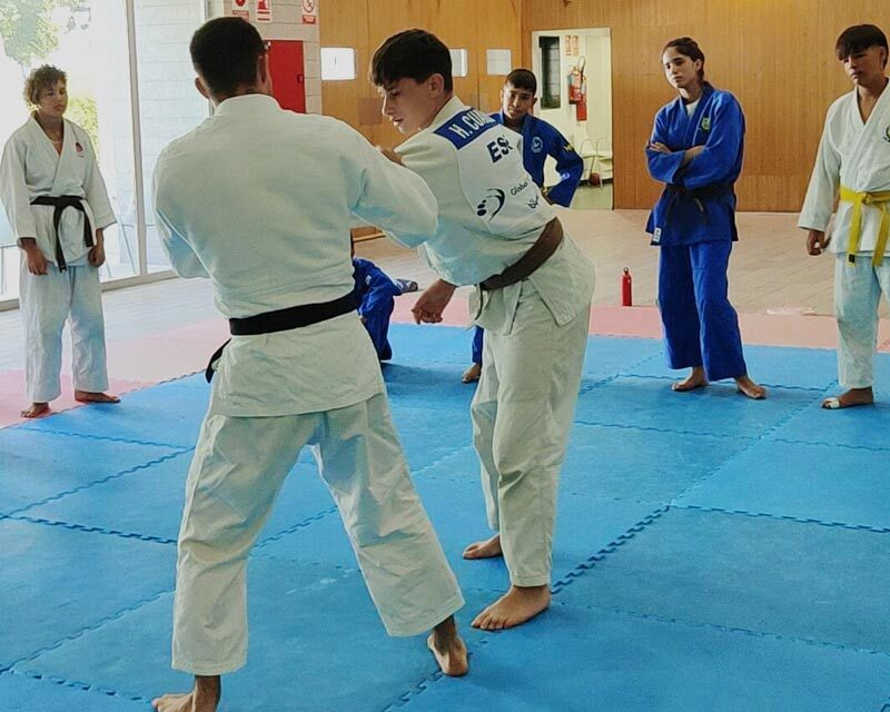clases de judo castalla